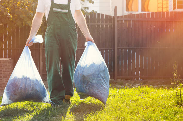 Yard Cleanup Services in Kingston, RI